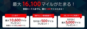 JAL AMEX_SummerCampain6