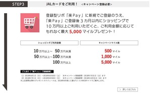 JAL AMEX_SummerCampain5