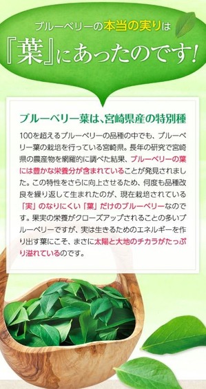 MiyoriHa03