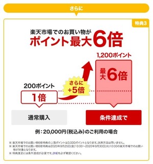 RC202009_2nd_campain3