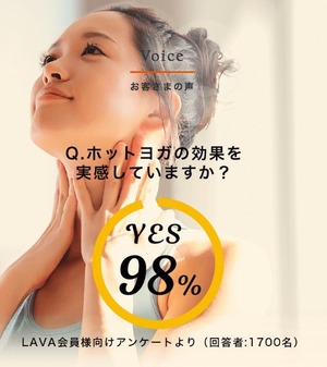 LAVA_voice