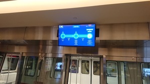 2019tns206