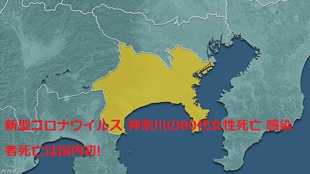 K10012284531_2002132052_2002132053_01_02