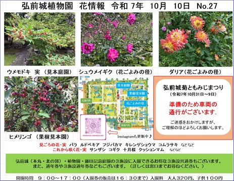 �����ȥ�ʤ�