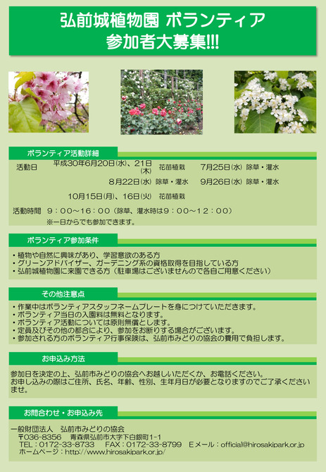 H30�ܥ��ƥ������饷