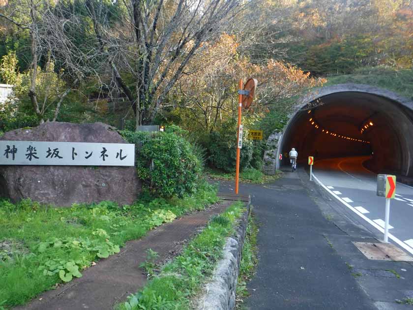イメージ 14