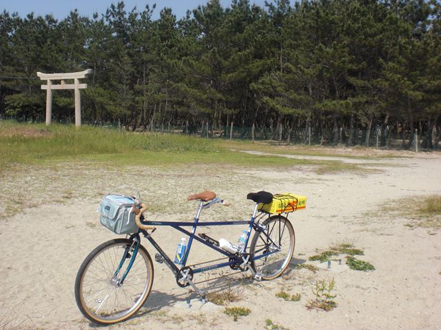 イメージ 7