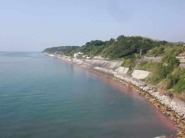 イメージ 9
