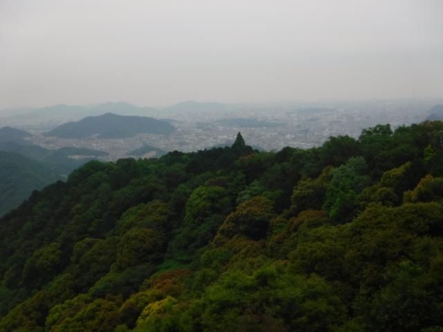 イメージ 5