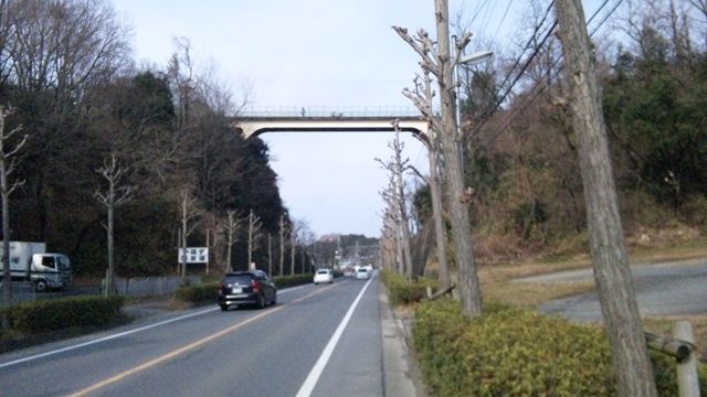 イメージ 19