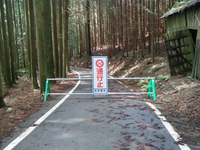 イメージ 15