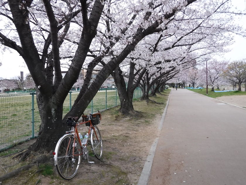 イメージ 3