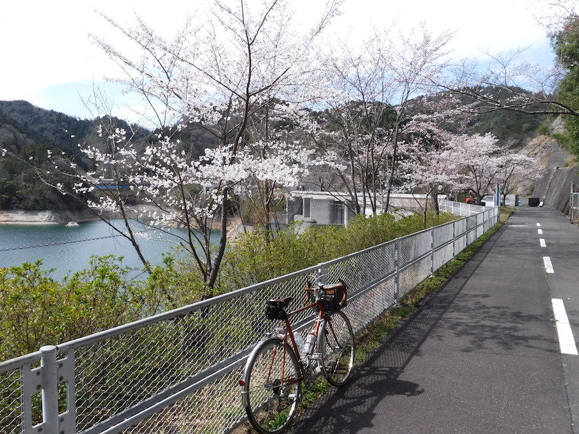 イメージ 16