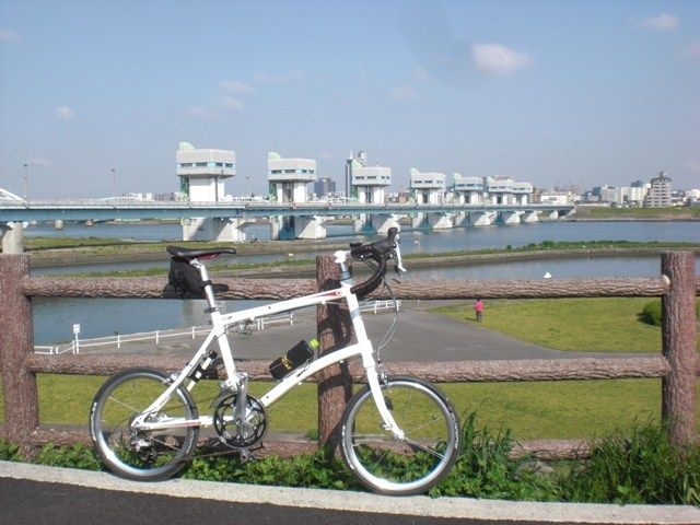イメージ 7
