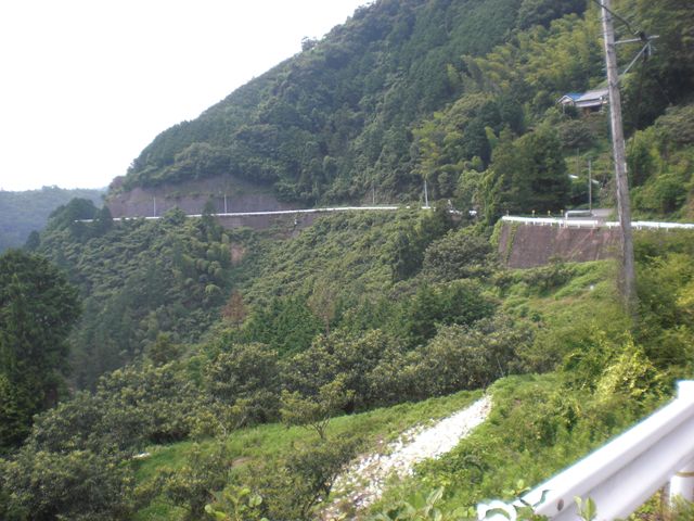 イメージ 7