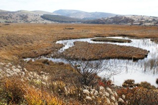 2012-10-25-yashima-shitugenn-191