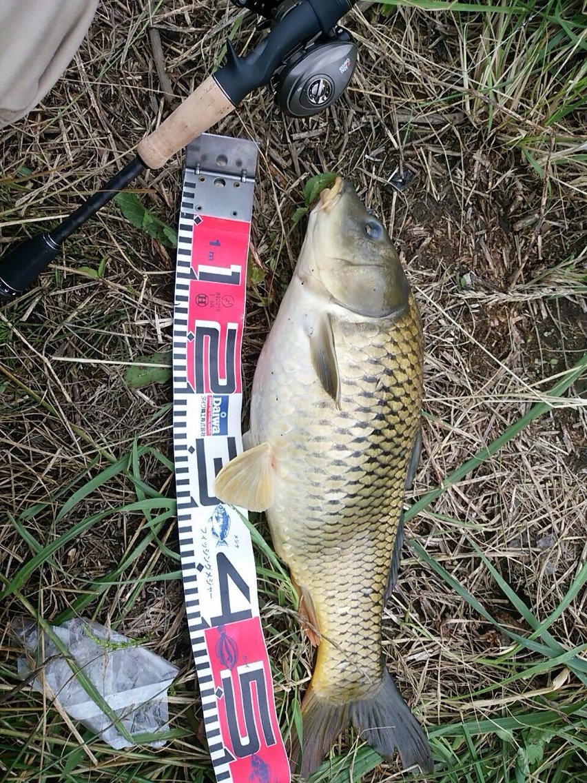 近場の川へ パート2 釣り 仙台カヤックフィッシング チーム森羅万象