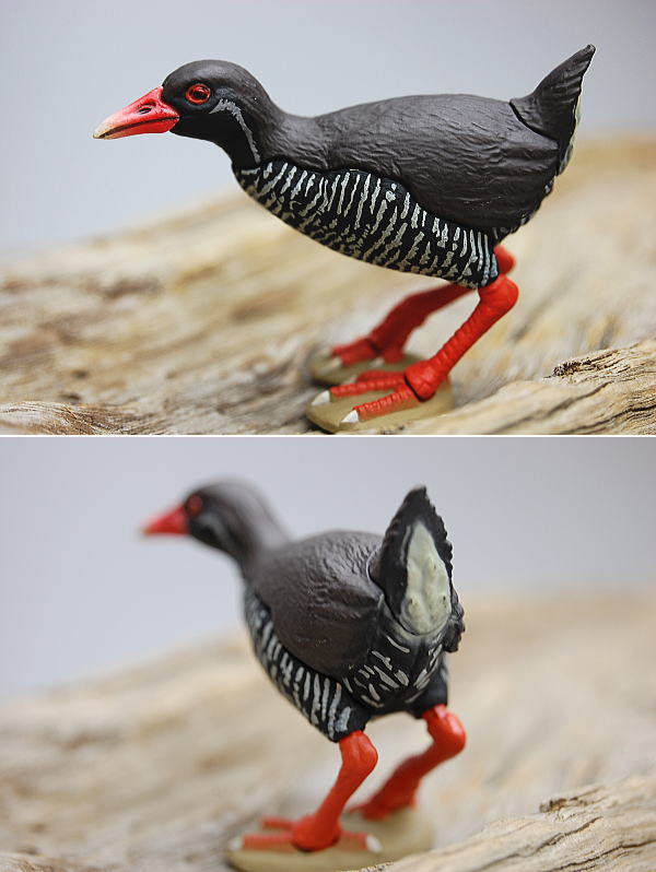 カプセルQミュージアム 日本の動物コレクションII 沖縄奄美