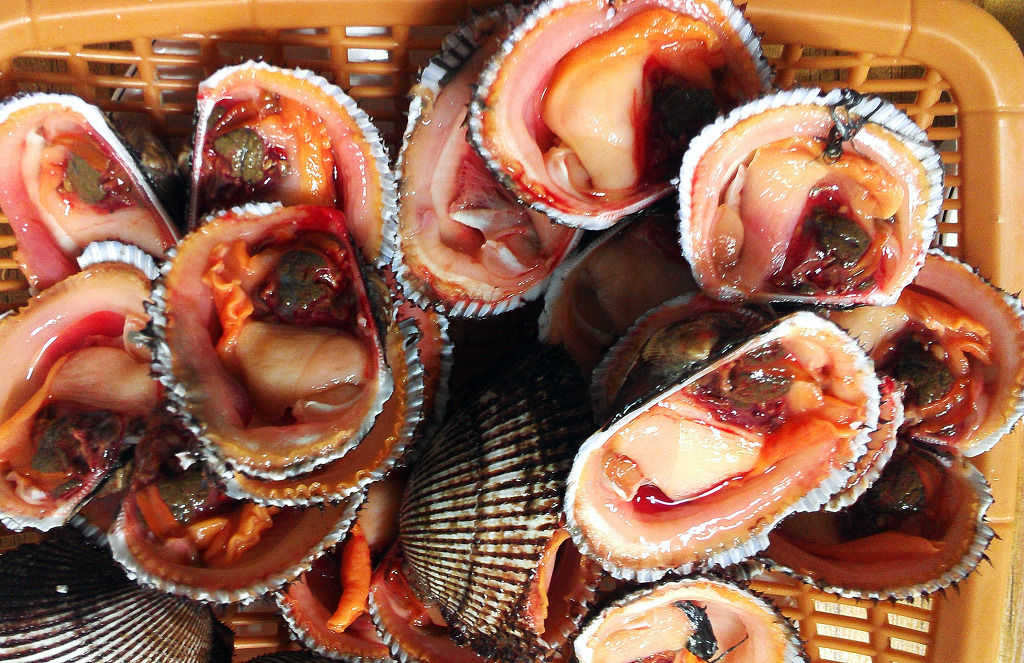 厚生労働省 韓国産 赤貝 は危ない 食の安全速報 略して 食報