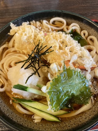 海老天おろしうどん