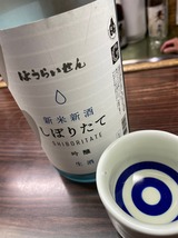 蓬莱泉しぼりたて
