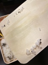 �����ޥ�����