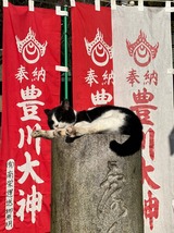 �������=^_^=