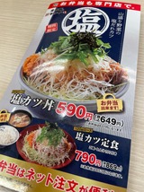 山盛り野菜の塩だれロースカツ