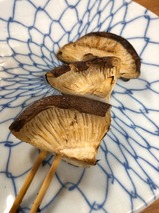しいたけ