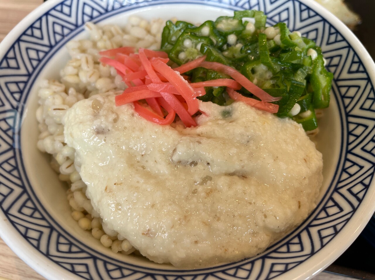 暑い夏にピッタリ ねぎ塩豚皿麦とろ御膳 吉野家 豊川 食メモ 愛知 旅先b級グルメと飲み記録