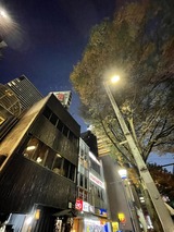 大甚本店