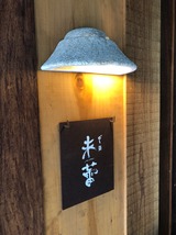 未蕾