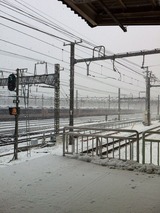 IMG_9758