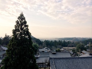二月堂