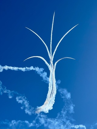 �֥롼����ѥ륹