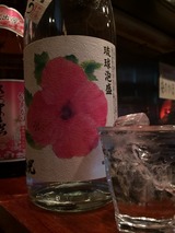 ハイビスカス