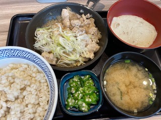 ねぎ塩鶏皿麦とろ御膳