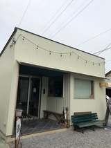 未蕾