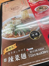 辣菜麺