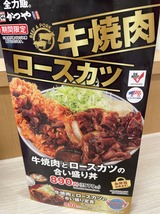 牛焼肉とロースカツの合い盛り