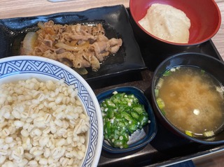 牛皿麦とろ御膳