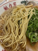 ���������顼���