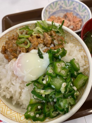 納豆・鮭ほぐしのっけ朝食