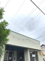未蕾