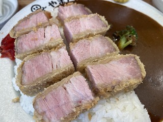 ロースカツカレー並