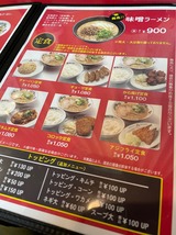 ŷ������