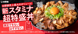 スタミナ超特盛丼