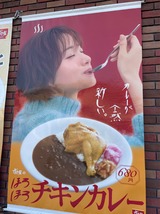 ほろほろチキンカレー