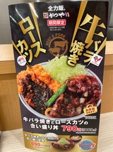 牛バラ焼きとロースカツの合い盛り丼