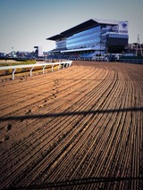 浦和競馬場